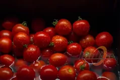 如何使用气泡清洗机高效清洗圣女果？