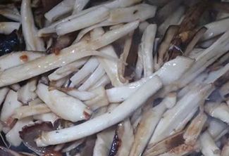 鸡枞菌