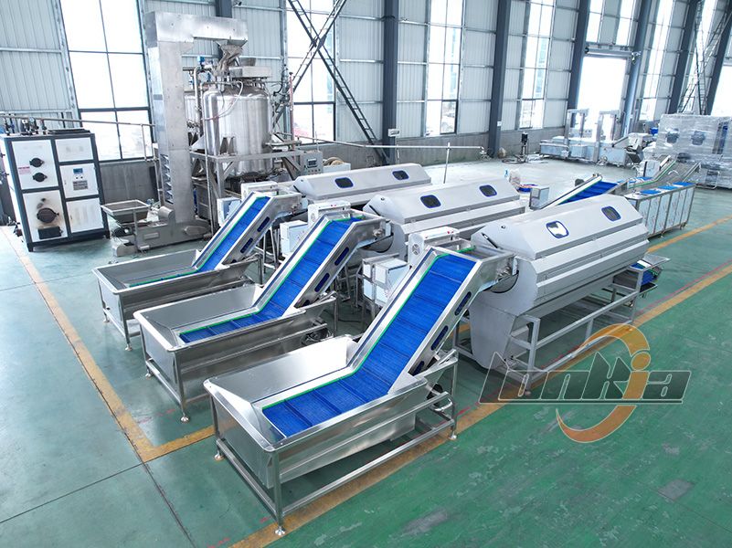 brush peeling machine for sale