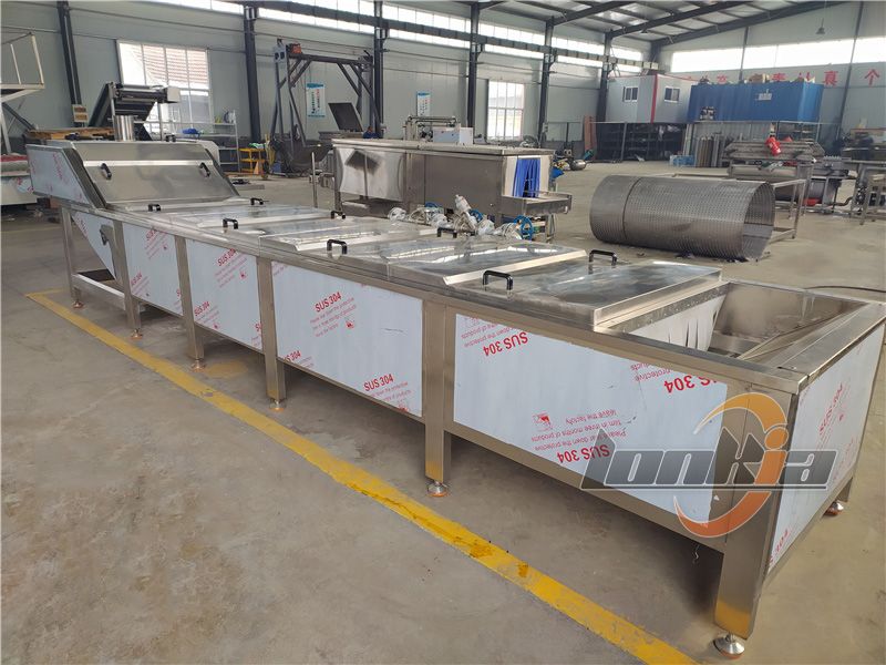 potato blanching machine