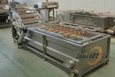 适用于各种果蔬的定制气泡清洗机