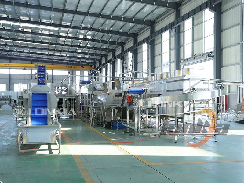 French fries processing plant