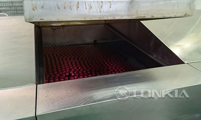 山东口服液瓶喷淋式巴氏杀菌生产线项目