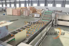 LONKIA黄瓜清洗分级加工线顺利发往韩国