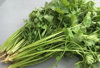 香菜